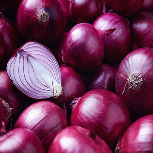 Onion